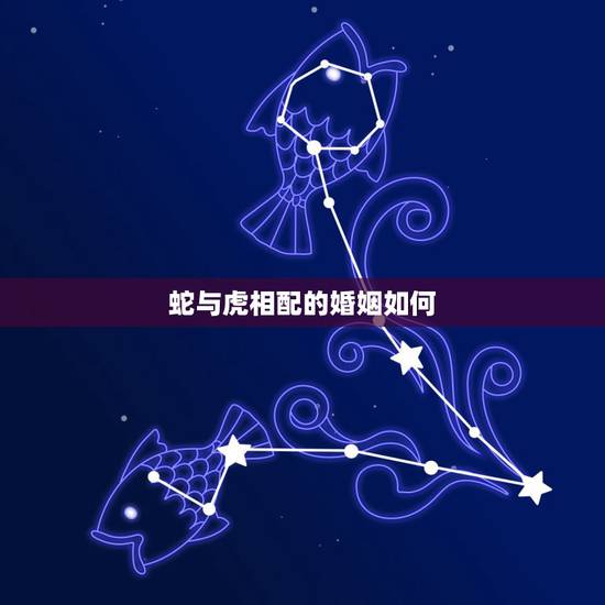 蛇与虎相配的婚姻如何，属蛇男配属虎女婚姻怎样