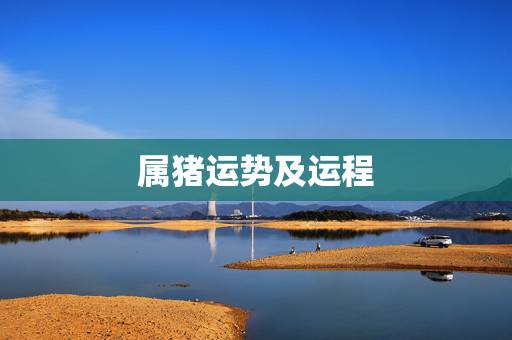 属猪运势及运程，属猪的人猪年运程如何？