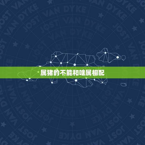 属猪的不能和啥属相配，属猪的和哪些属相相配