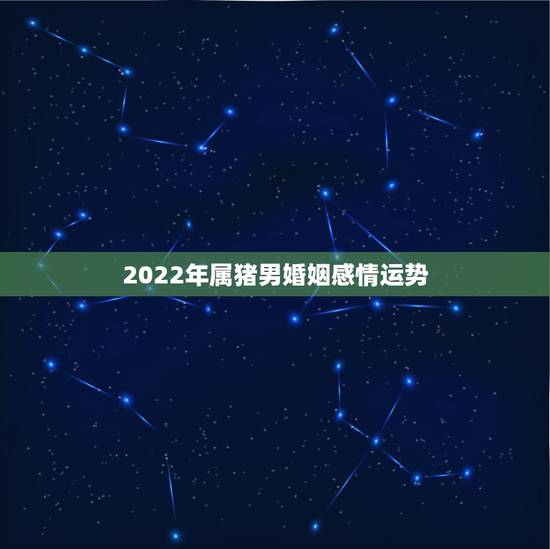 2022年属猪男婚姻感情运势，2022 年属猪人全年运势