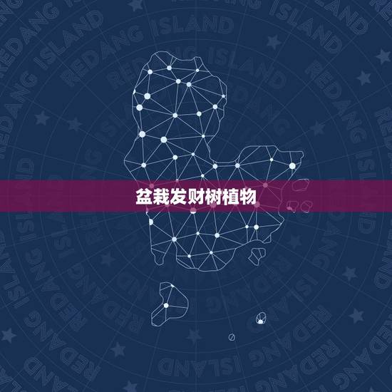 盆栽发财树植物,发财树有什么生活习性? 盆栽发财树植物,发财树有什么生活习性?