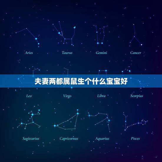 夫妻两都属鼠生个什么宝宝好，96年属鼠的和什么属相最配