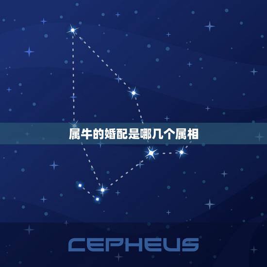 属牛的婚配是哪几个属相,属牛的属相婚配表 属牛的婚配是哪几个属相,属牛的属相婚配表