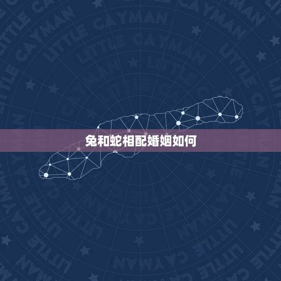 兔和蛇相配婚姻如何，男兔女蛇能过一生吗