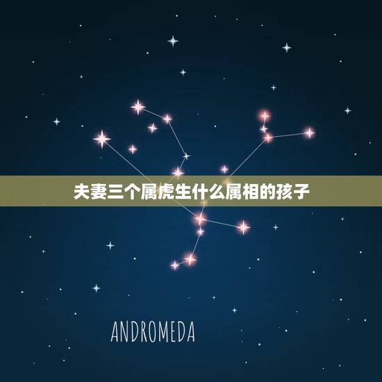 夫妻三个属虎生什么属相的孩子，属鼠女和什么属相不配