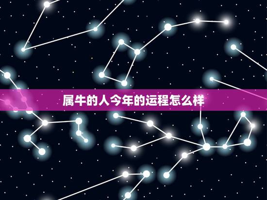 属牛的人今年的运程怎么样 属牛哪年运势好 属牛的人今年的运程怎么样 属牛哪年运势好