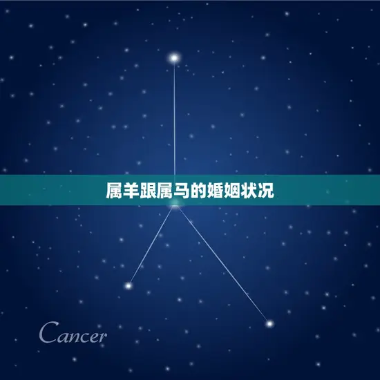 属羊跟属马的婚姻状况