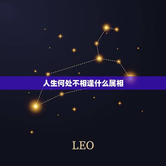 人生何处不相逢什么属相,人生何处不相逢,相逢何必曾相识,是什么意思? 人生何处不相逢什么属相,人生何处不相逢,相逢何必曾相识,是什么意思?