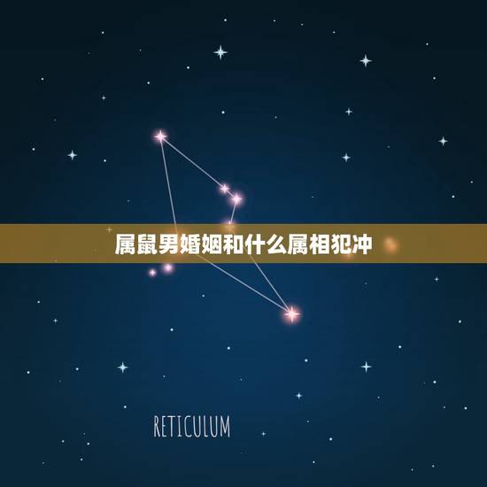 属鼠男婚姻和什么属相犯冲,属鼠的女人配什么属相的婚姻好 属鼠男婚姻和什么属相犯冲,属鼠的女人配什么属相的婚姻好