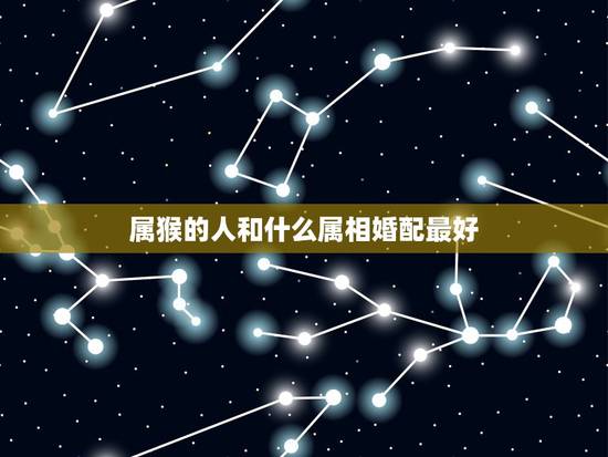 属猴的人和什么属相婚配最好,属猴的和什么属相最配 属猴人的婚配 属猴的人和什么属相婚配最好,属猴的和什么属相最配 属猴人的婚配