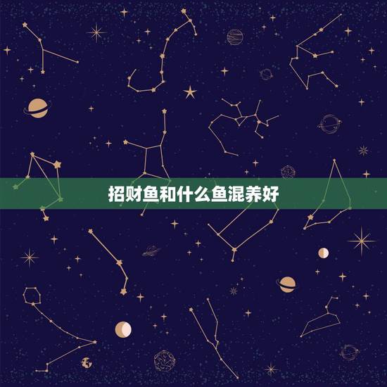 招财鱼和什么鱼混养好,招财鱼适合和什么鱼一起混养 招财鱼和什么鱼混养好,招财鱼适合和什么鱼一起混养