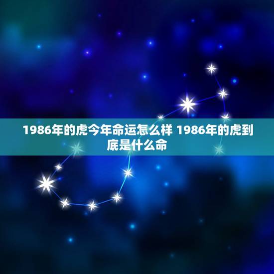 1986年的虎今年命运怎么样 1986年的虎到底是什么命 1986年的虎今年命运怎么样 1986年的虎到底是什么命