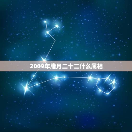 2009年腊月二十二什么属相，八四年腊月二十八日出生的人是什么属相