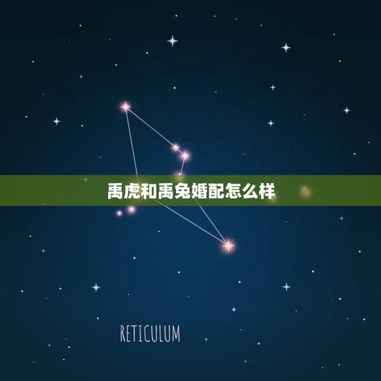禹虎和禹兔婚配怎么样,99年属兔男能和属虎女今年结婚怎样 禹虎和禹兔婚配怎么样,99年属兔男能和属虎女今年结婚怎样