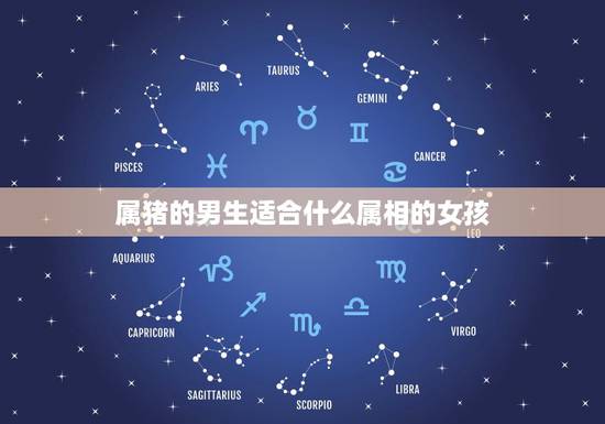 属猪的男生适合什么属相的女孩,属猪男人喜欢什么女人 属猪的男生适合什么属相的女孩,属猪男人喜欢什么女人