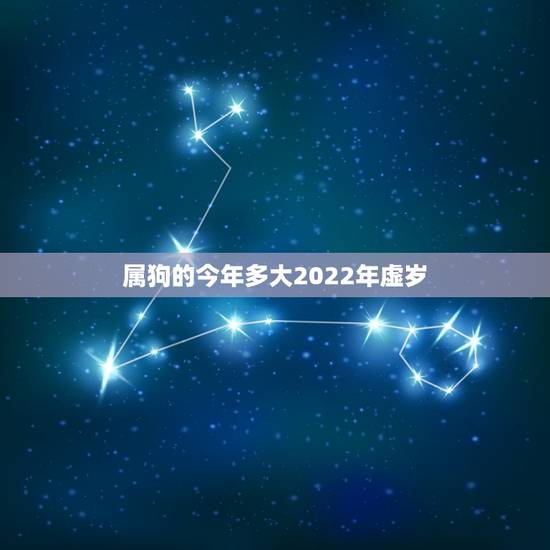 属狗的今年多大2022年虚岁，属狗2022年运势及运程