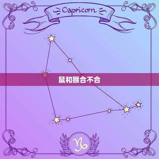 鼠和猴合不合,鼠猴和鼠蛇属相合不合 鼠和猴合不合,鼠猴和鼠蛇属相合不合