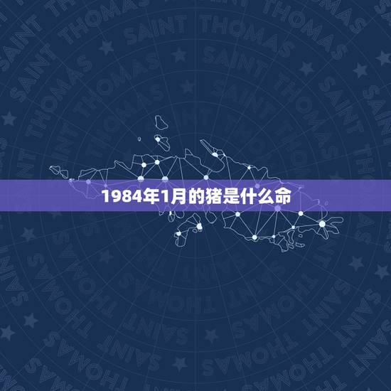 1984年1月的猪是什么命,1984年1月1日女命 1984年1月的猪是什么命,1984年1月1日女命