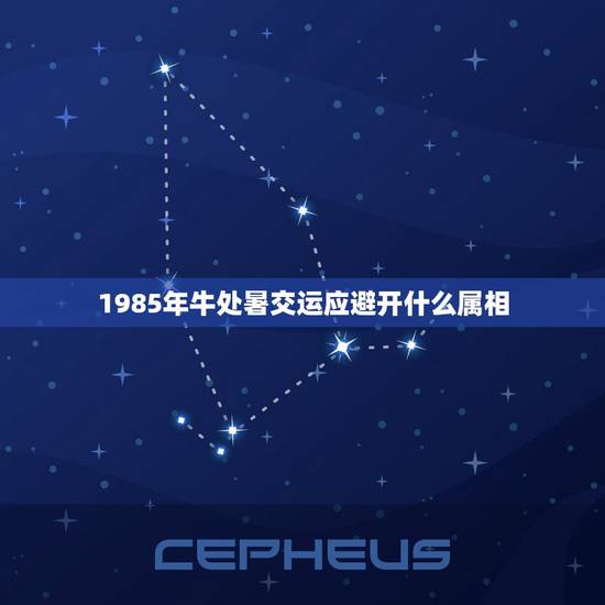 1985年牛处暑交运应避开什么属相，我属牛今年交运，不能见属什么的