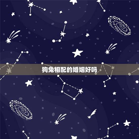 狗兔相配的婚姻好吗,猴和狗婚姻搭配吗 狗兔相配的婚姻好吗,猴和狗婚姻搭配吗