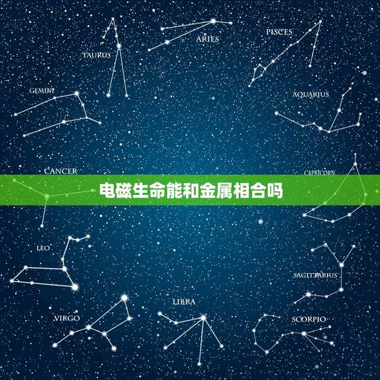 电磁生命能和金属相合吗,电磁生命 是否可以与金属生命相结合成为全新的生 电磁生命能和金属相合吗,电磁生命 是否可以与金属生命相结合成为全新的生