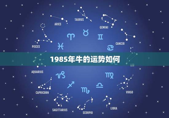 1985年牛的运势如何，1985年属牛是什么命