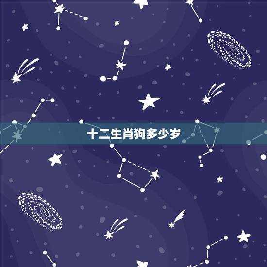 十二生肖狗多少岁,十二生肖狗能活到多少岁 十二生肖狗多少岁,十二生肖狗能活到多少岁