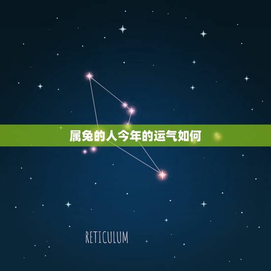 属兔的人今年的运气如何,75属兔2022 年每月运势 属兔的人今年的运气如何,75属兔2022 年每月运势