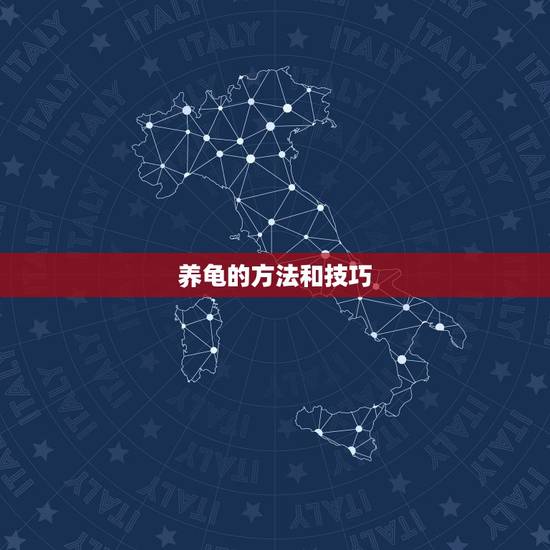 养龟的方法和技巧,如何正确饲养乌龟? 养龟的方法和技巧,如何正确饲养乌龟?