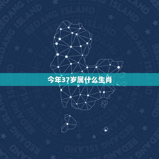 今年37岁属什么生肖,26生肖是什么生肖 今年37岁属什么生肖,26生肖是什么生肖