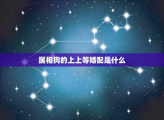属相狗的上上等婚配是什么，属狗的最佳配偶属相