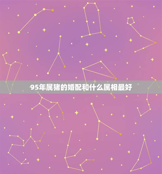 95年属猪的婚配和什么属相最好，95年的猪男火命和97的牛女水命八字合