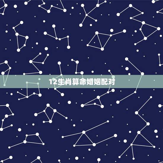 12生肖算命婚姻配对 12生肖婚姻配对表 12生肖算命婚姻配对 12生肖婚姻配对表