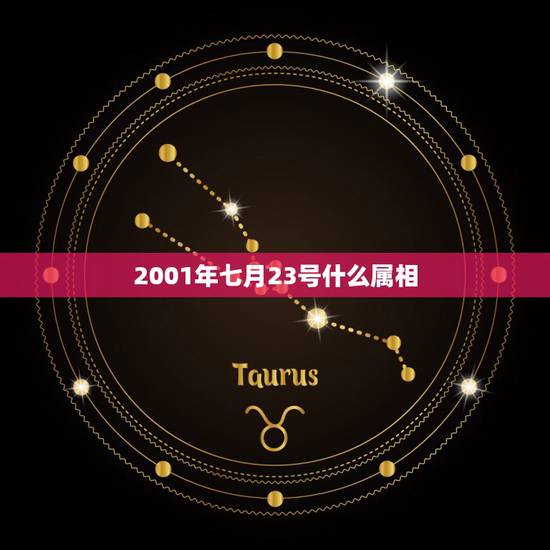 2001年七月23号什么属相,1993年07月23号的属什么生肖 2001年七月23号什么属相,1993年07月23号的属什么生肖
