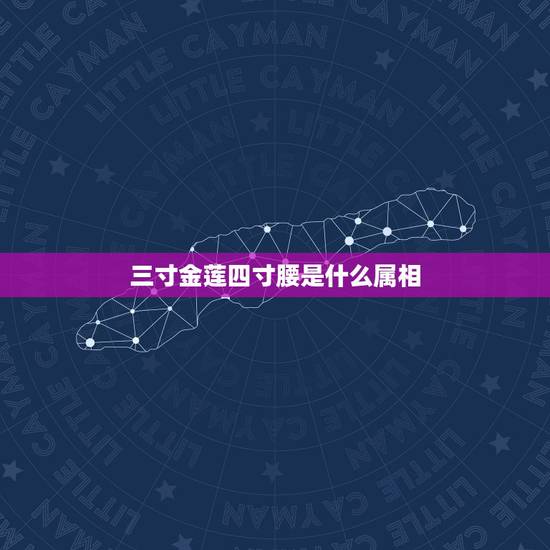 三寸金莲四寸腰是什么属相，三寸金莲四寸腰，是什么生肖？