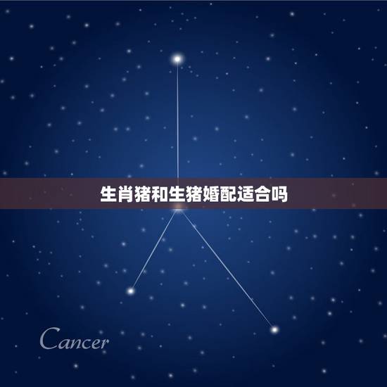 生肖猪和生猪婚配适合吗,生肖猪跟什么最配,属猪的属相婚配表 生肖猪和生猪婚配适合吗,生肖猪跟什么最配,属猪的属相婚配表