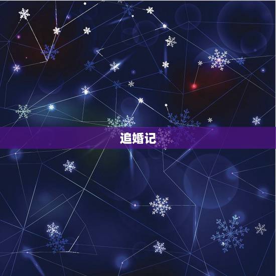 追婚记,追婚记2还拍不拍了 追婚记,追婚记2还拍不拍了