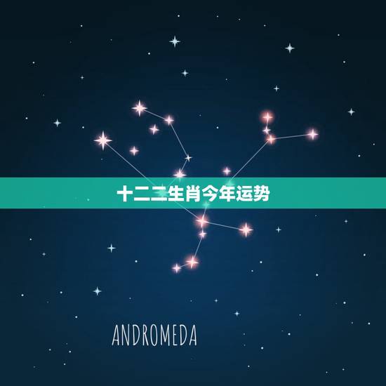 十二二生肖今年运势，十二生肖每月运势详解