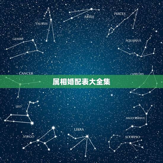 属相婚配表大全集,属相婚姻配对查询 属相婚配表大全集,属相婚姻配对查询