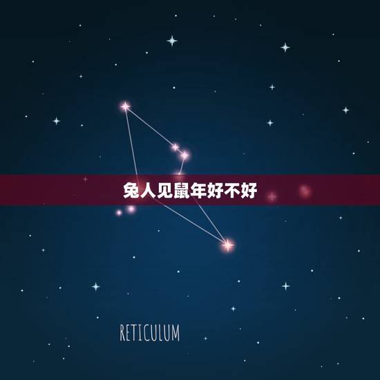 兔人见鼠年好不好，兔遇鼠年好不好