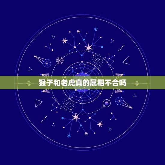 猴子和老虎真的属相不合吗,属猴的和属虎的属相相克吗 猴子和老虎真的属相不合吗,属猴的和属虎的属相相克吗
