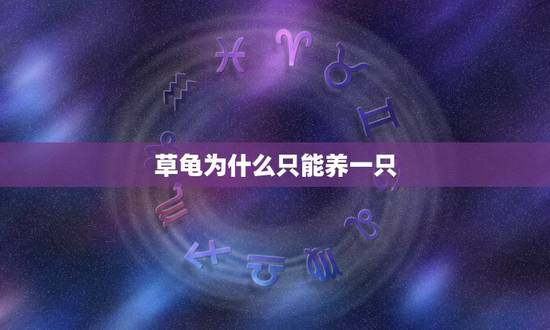草龟为什么只能养一只,乌龟只养一只可不可以 草龟为什么只能养一只,乌龟只养一只可不可以