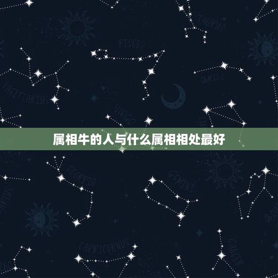 属相牛的人与什么属相相处最好，属牛的人和什么属相的人最能和得来呢？