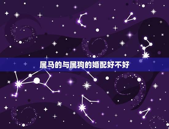 属马的与属狗的婚配好不好，属马的和属狗的结婚好吗
