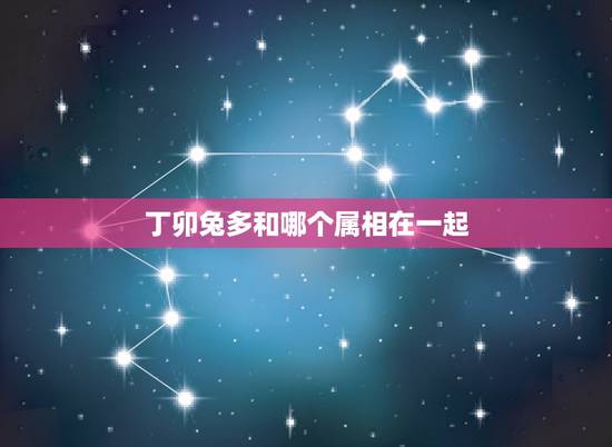 丁卯兔多和哪个属相在一起,属兔与什么属相三合 丁卯兔多和哪个属相在一起,属兔与什么属相三合