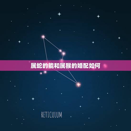 属蛇的能和属猴的婚配如何,女属猴五月和男属蛇四月婚配财运怎样 属蛇的能和属猴的婚配如何,女属猴五月和男属蛇四月婚配财运怎样