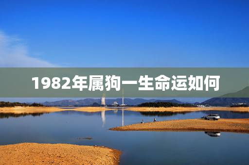1982年属狗一生命运如何，1982属狗农历7月出生的命运