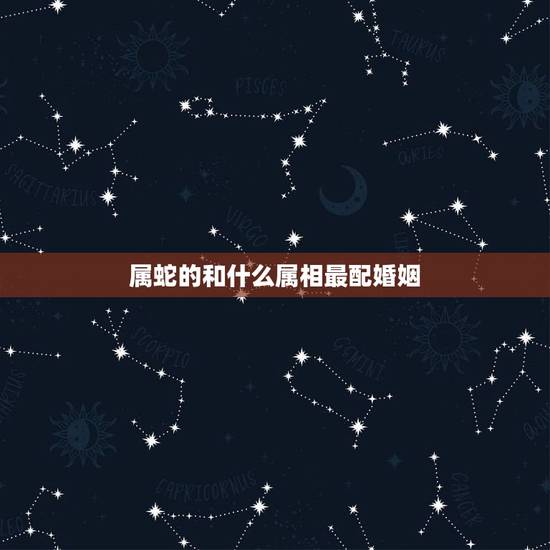 属蛇的和什么属相最配婚姻，属蛇的和什么属相最配
