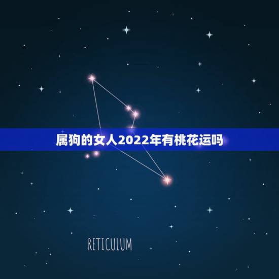 属狗的女人2022年有桃花运吗，2022年属狗女全年运势