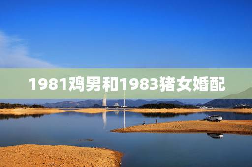 1981鸡男和1983猪女婚配,83年属猪和81年属鸡的感情 1981鸡男和1983猪女婚配,83年属猪和81年属鸡的感情